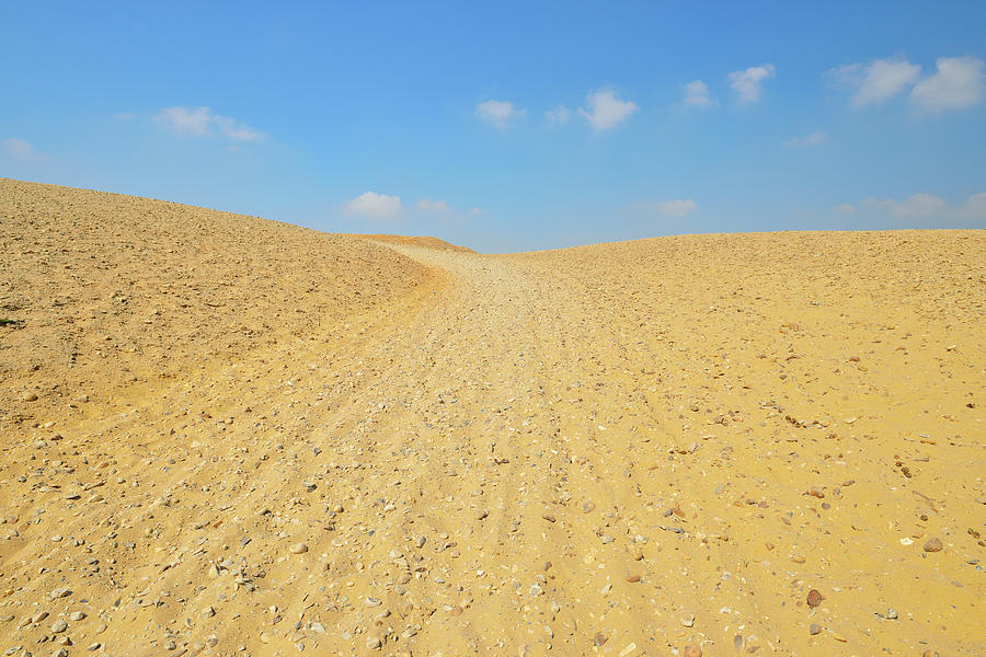 Footpath In Desert Photograph by Raimund Linke