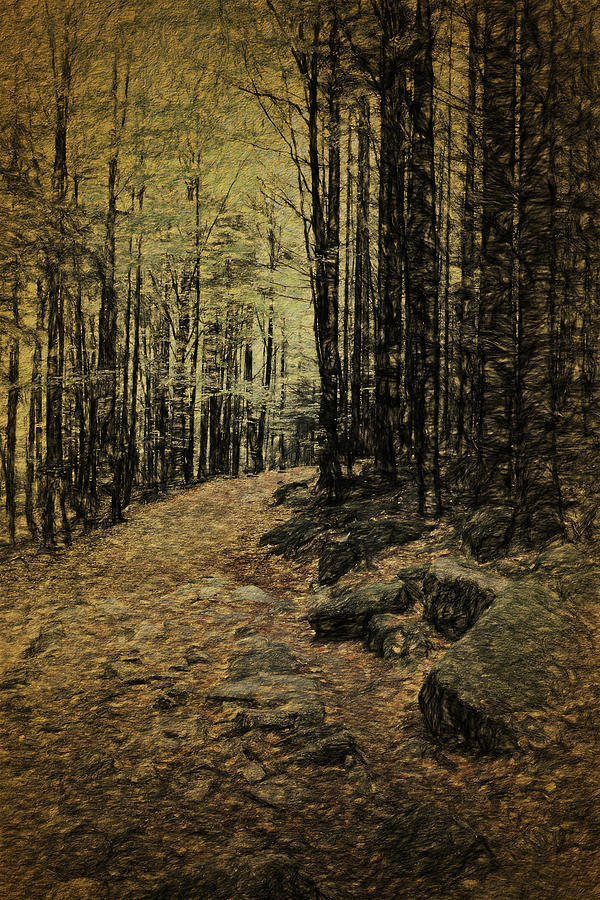 Footpath in Mountan Forest Photograph by Artur Bogacki