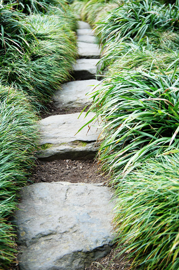 Footpath Through Zen Garden, Uk Photograph by Liz Whitaker