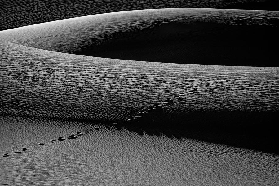 Nature Photograph - Footprint Crossing The Sand Dune by Joy Pingwei Pan