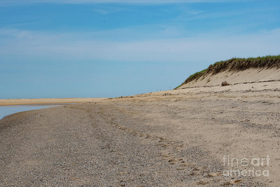 Nature Photograph - Footprints along the dunes by Neil Taitel