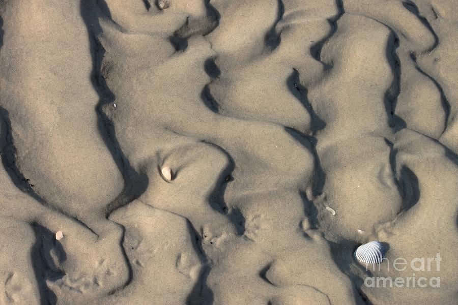 Footprints And Seashells Photograph