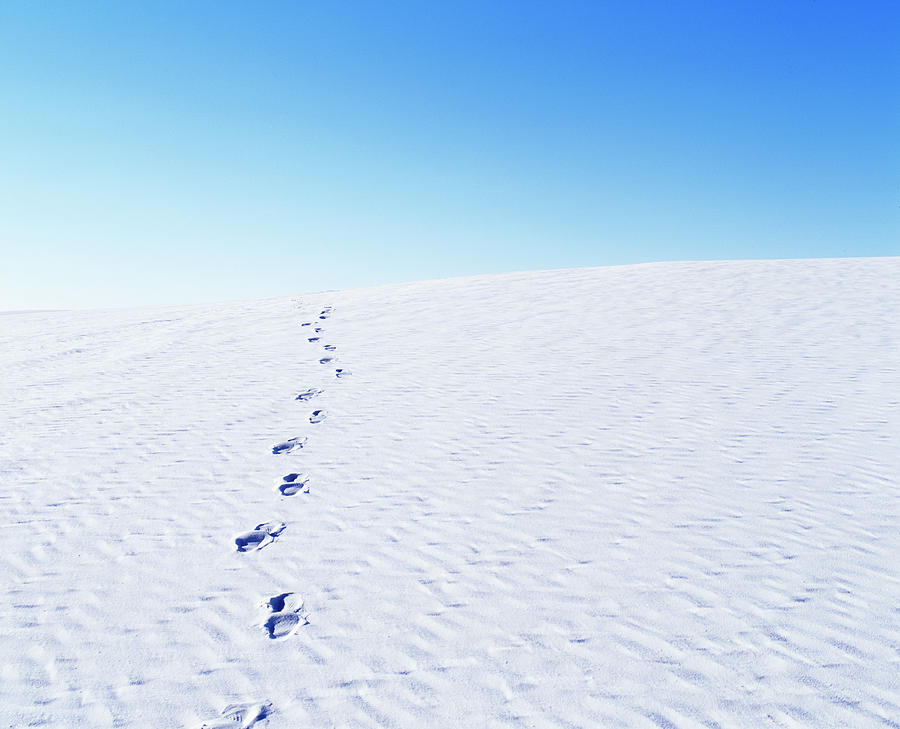Footprints Coming From Horizon In White Photograph by Chris Parsons