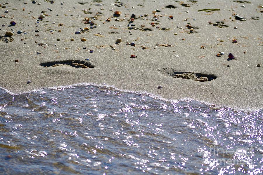 Footprints Photograph by Elizabeth Deering - Fine Art America