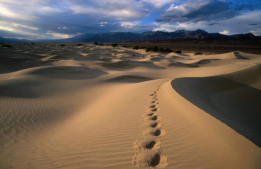 Footprints In Mesquite Sand Dunes Photograph by Lonely Planet