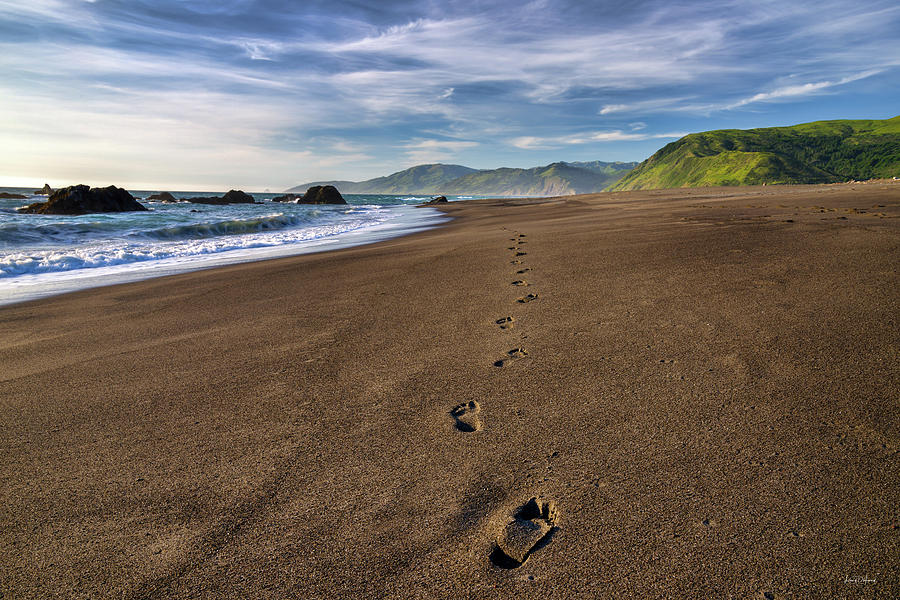Footprints in Sand 2 Photograph by Leland D Howard