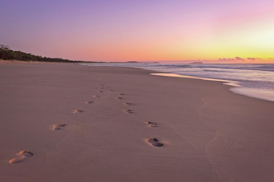 Footprints in the Sand Photograph by Catherine Reading