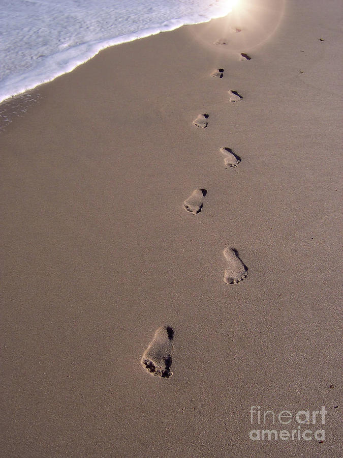 Footprints In The Sand Photograph by D Hackett