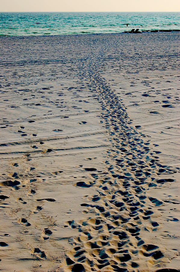 Footprints in the Sand Photograph by Dennis Schmidt