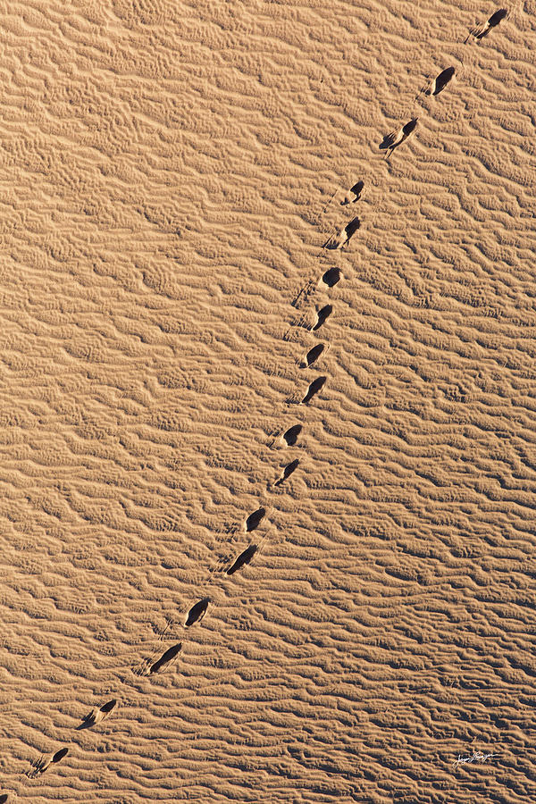 Footprints In The Sand Photograph by Jurgen Lorenzen