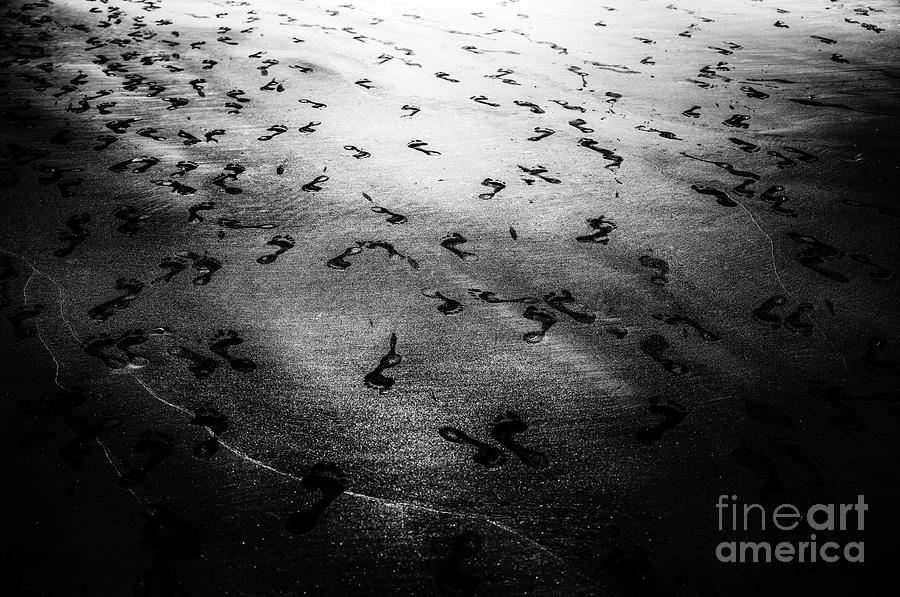Footprints in the Sand Photograph by M G Whittingham