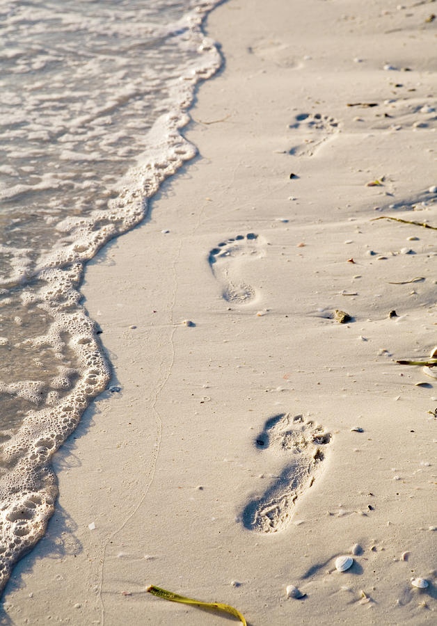 Footprints In The Sand Photograph by Visualfield