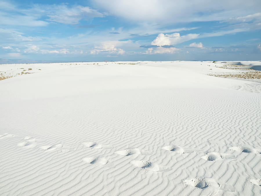 Footprints In White Photograph by Helovi Footprints In White Photograph by Helovi