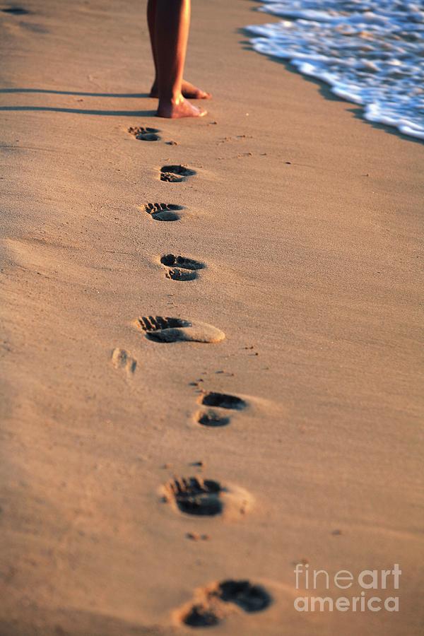 Footprints On A Beach Photograph by Science Photo Library Footprints On A Beach Photograph by Science Photo Library