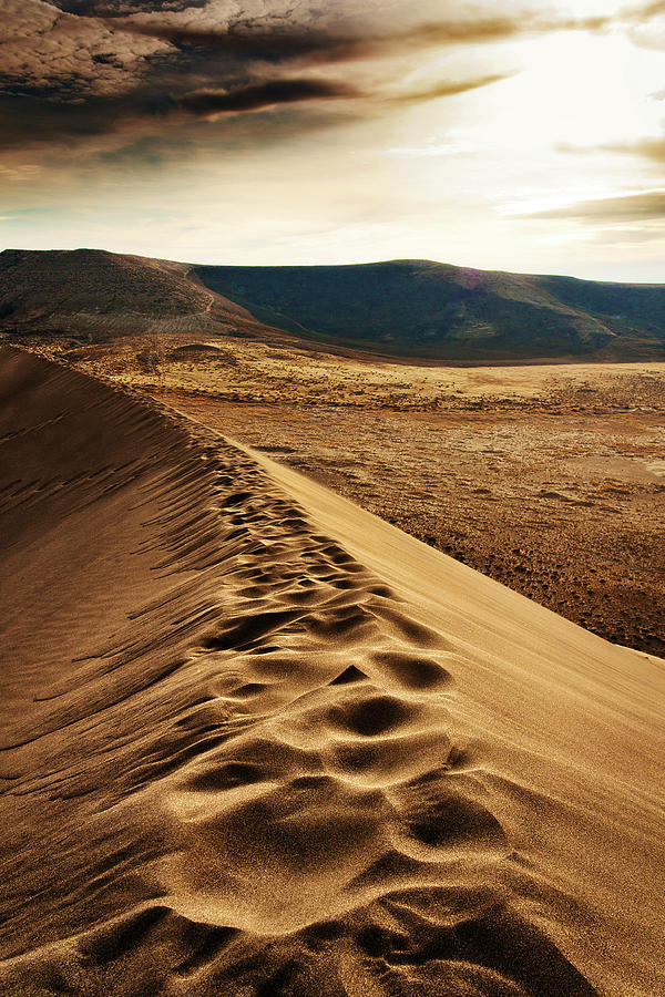 Footprints On Sand Dune At Bruneau Photograph by Anna Gorin - Fine Art ...