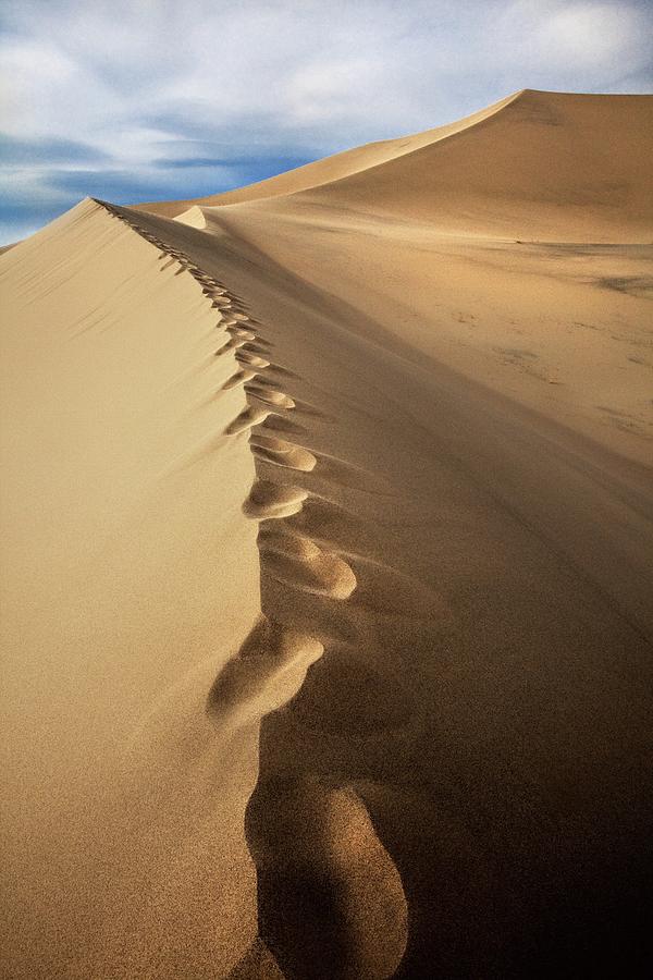 Footprints On Sand Dunes Photograph by Tom Grubbe