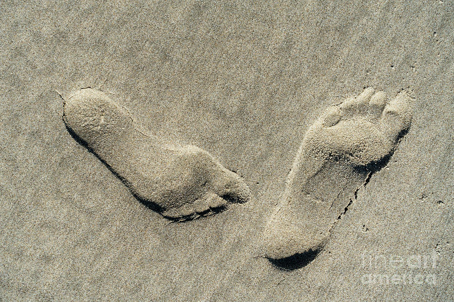 Footprints on the Beach Photograph by Arterra Picture Library