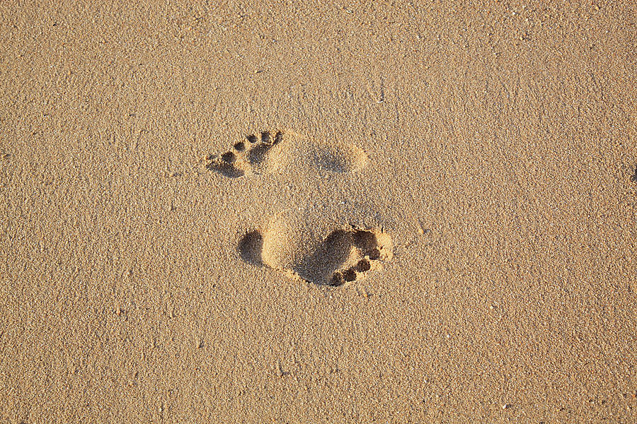 Footsteps In The Sand Photograph by Tom Bonaventure