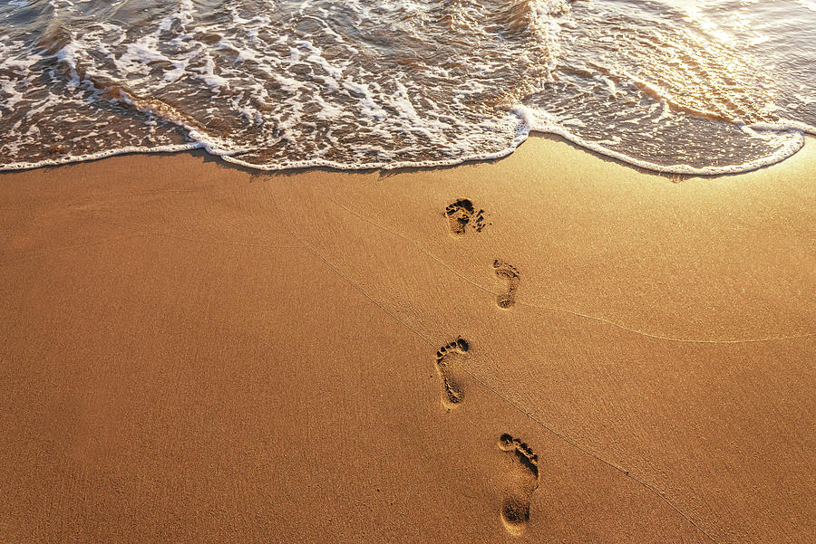 Nature Photograph - Footsteps On The Beach At Summer. by Cavan Images