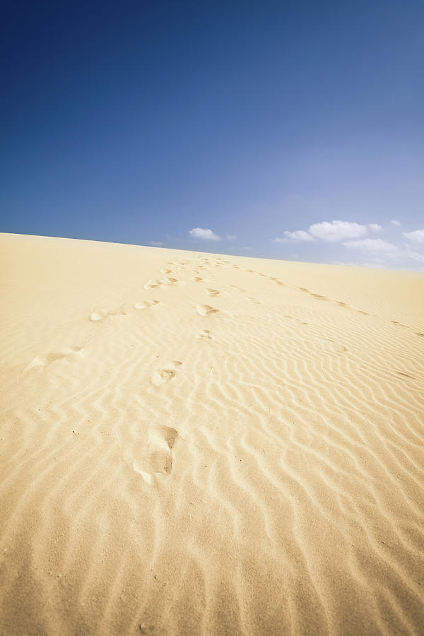 Footsteps On The Desert In Canary Photograph by Zodebala