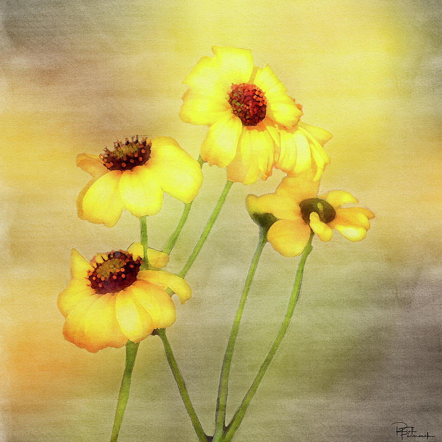 For Everything There is a Season in Digital Watercolor by Rick Furmanek For Everything There is a Season in Digital Watercolor by Rick Furmanek