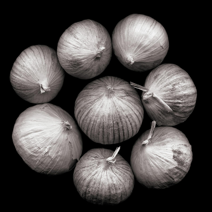 For Garlic Anyone Photograph by Photograph By Magda Indigo
