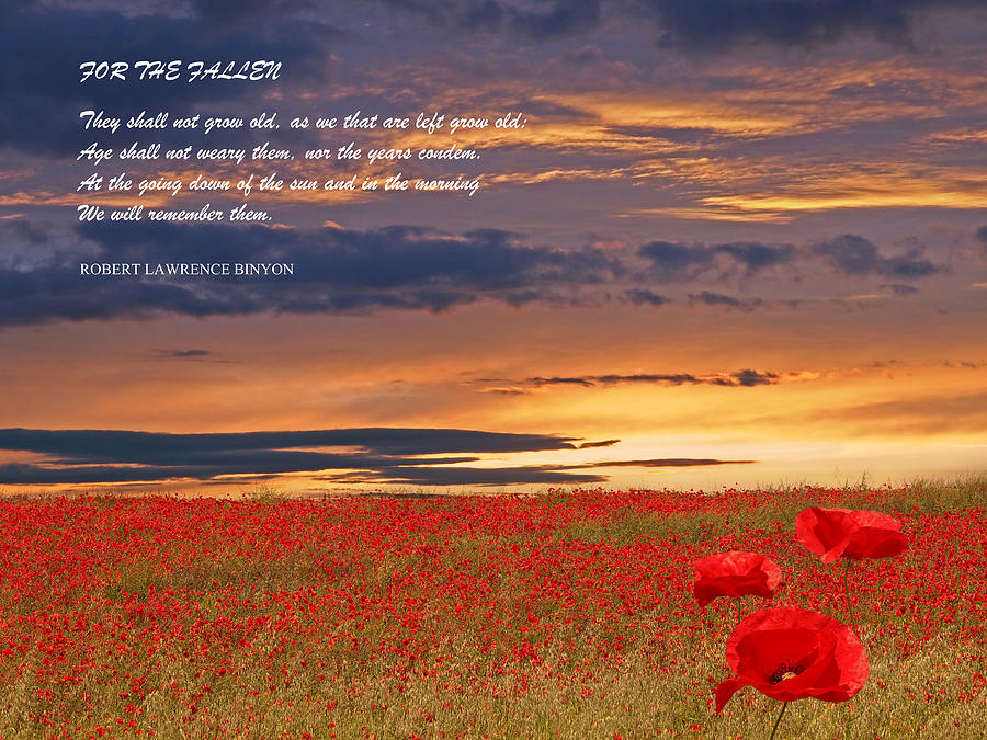 For The Fallen - Poppy Fields At Sunset Photograph by Gill Billington