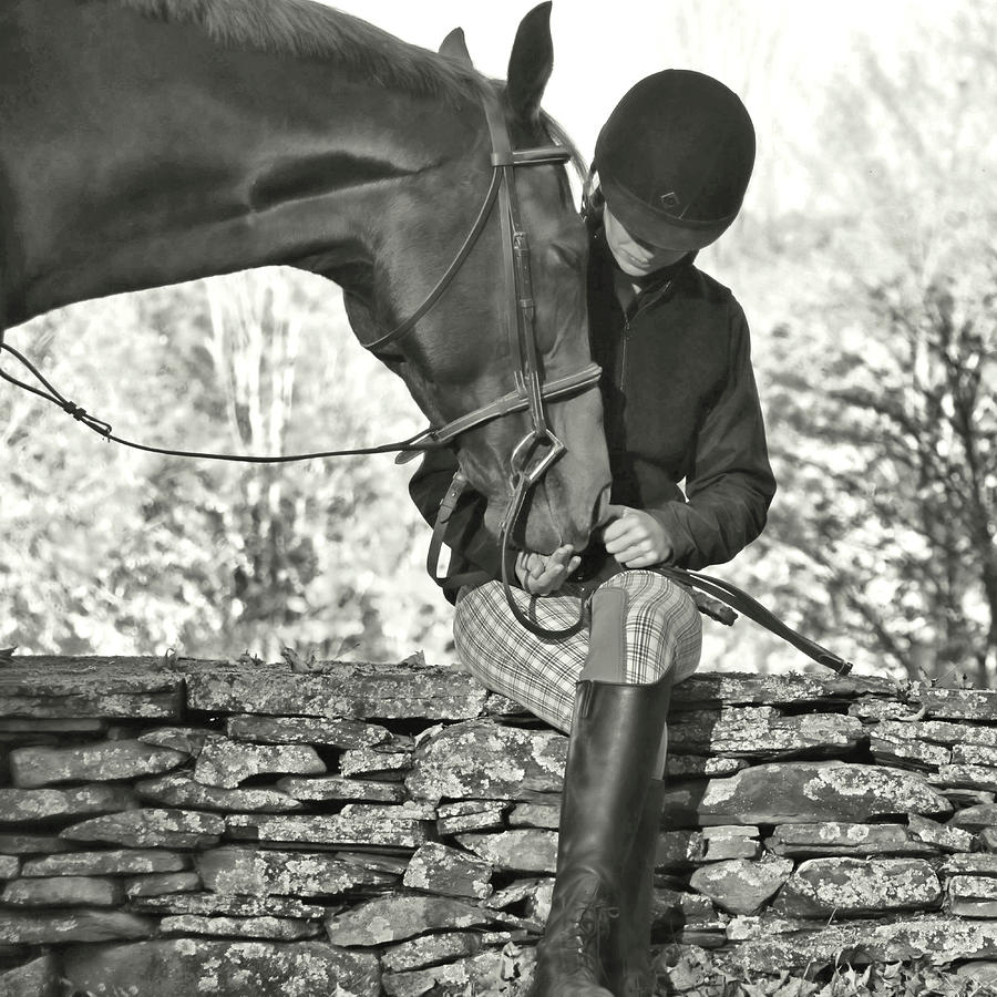 For The Love Of Horses Photograph by Dressage Design