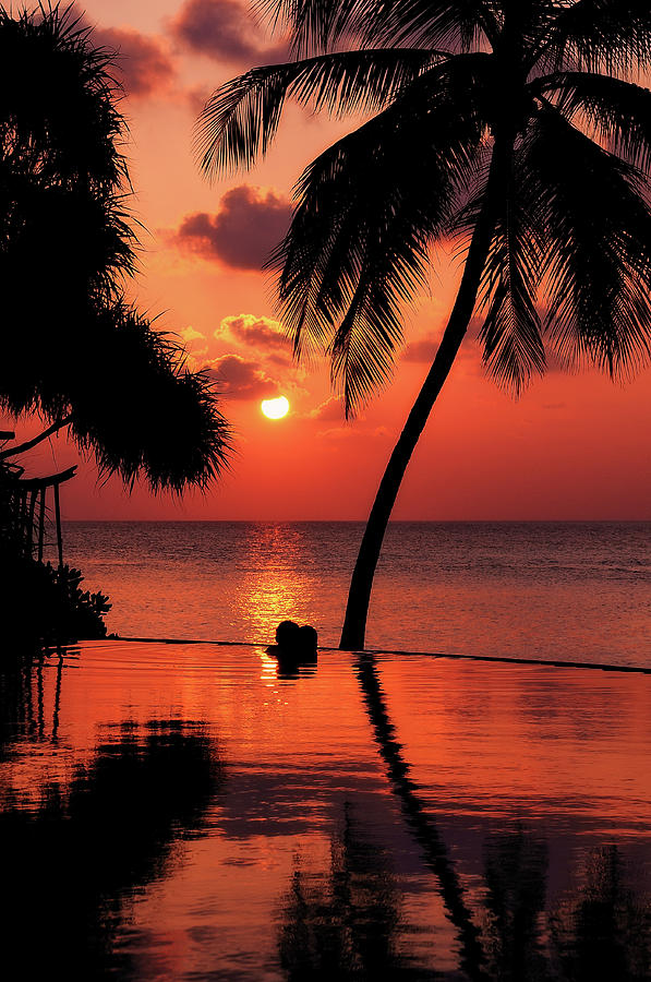 Paradise Photograph - For YOU. Dream Coming True I. Maldives by Jenny Rainbow