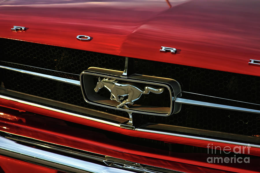 Ford Mustang Photograph by Joan Bertucci