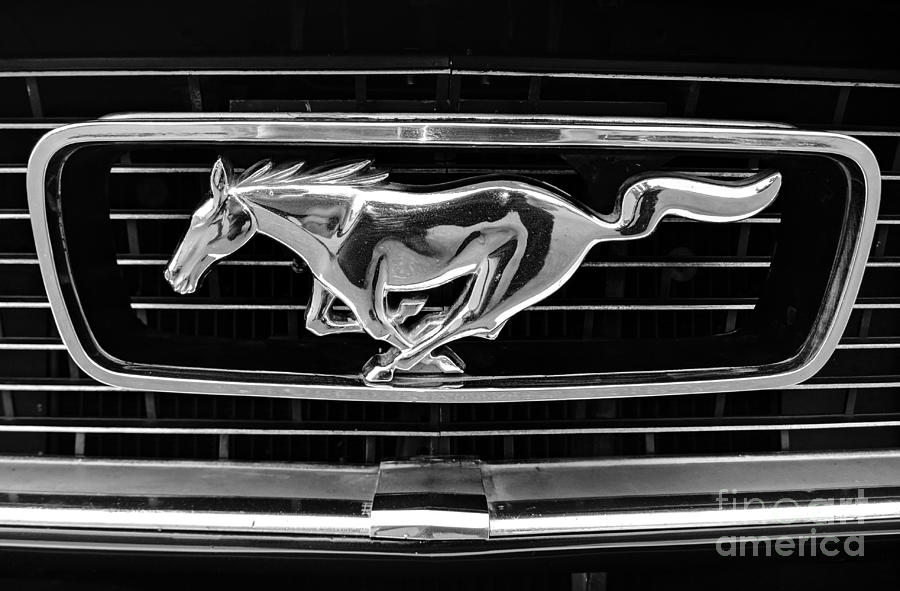 ford mustang logo