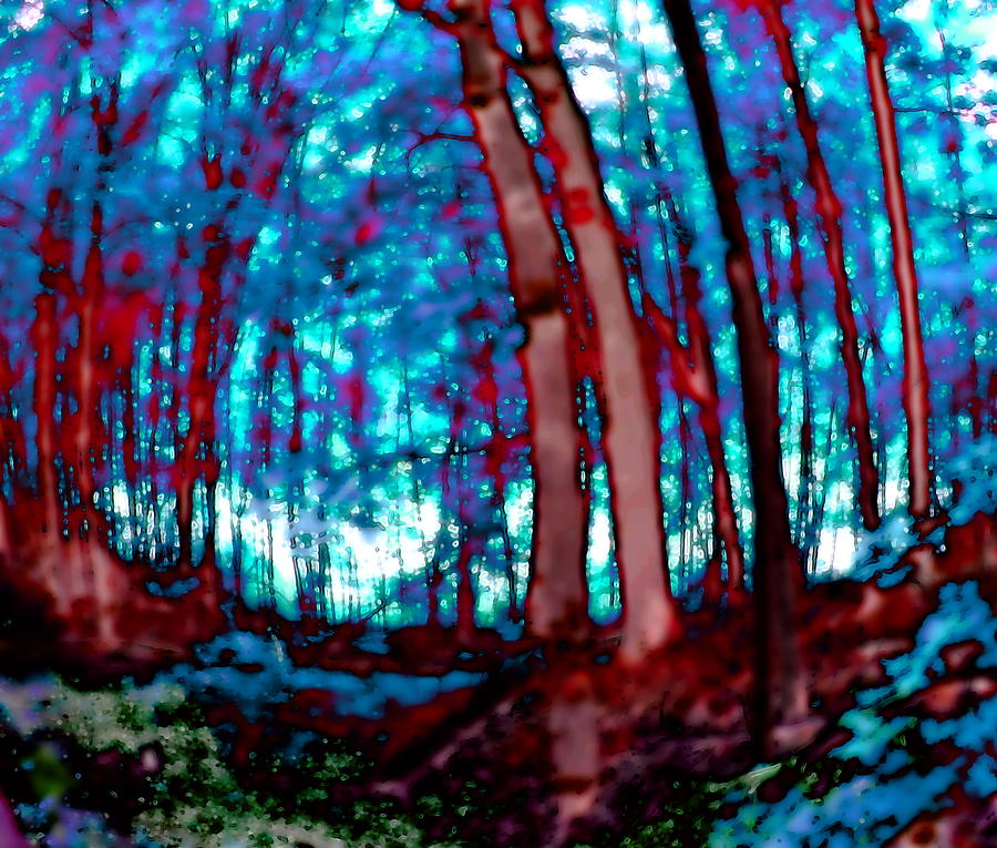 Forest 2040 red and blue by AJP Forest 2040 red and blue by AJP