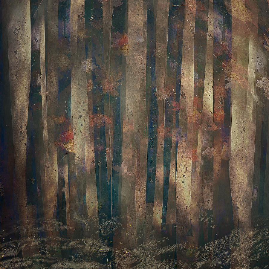 Forest Abstract Photograph by Nel Talen