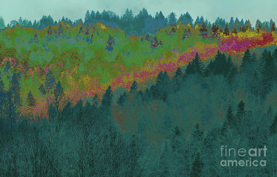 Forest and Valley Digital Art by Corinne Carroll
