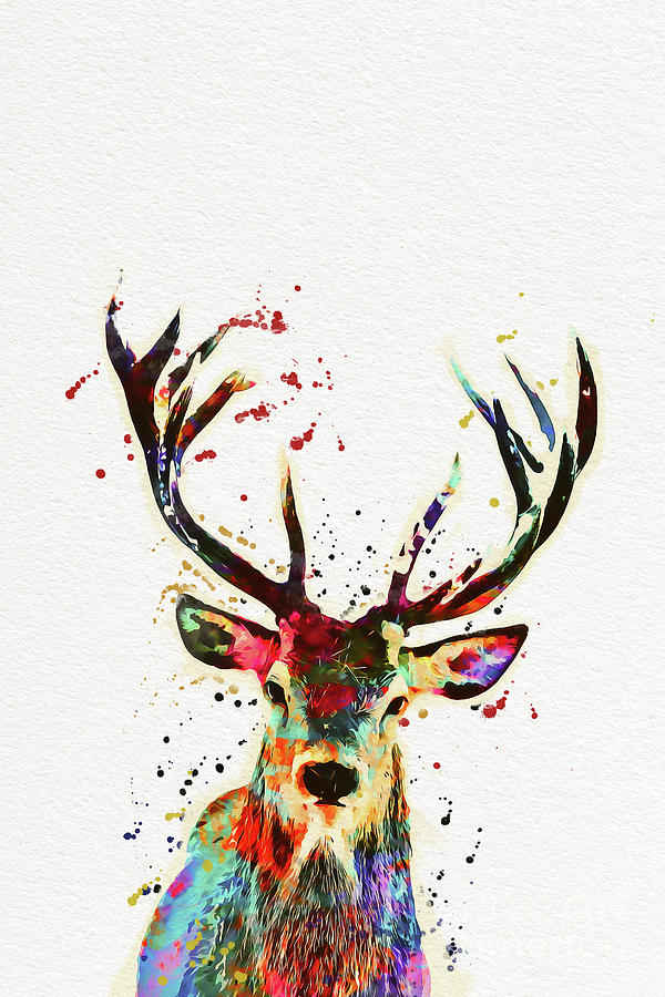 Deer Painting - Forest Animal by Nikolay Radkov