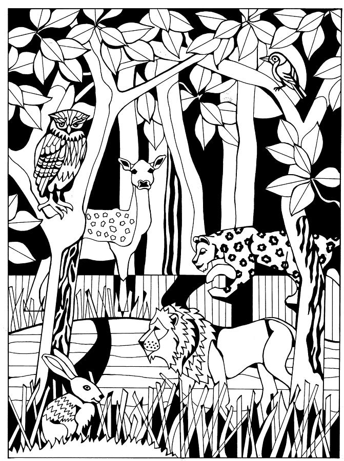 Forest Animals at Night Drawing by Judy Dick - Pixels