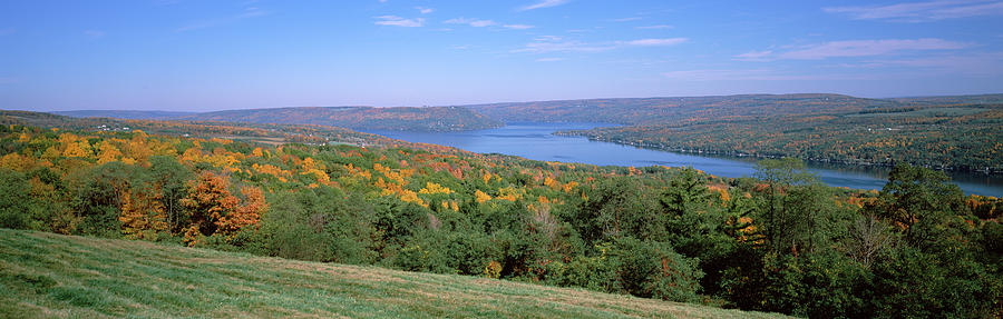 Forest At The Lakeside, Keuka Lake Photograph by Panoramic Images