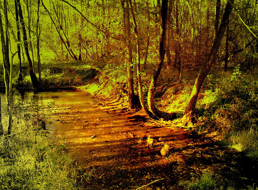 Forest brook in the morning sun by Henryk Gorecki Forest brook in the morning sun by Henryk Gorecki