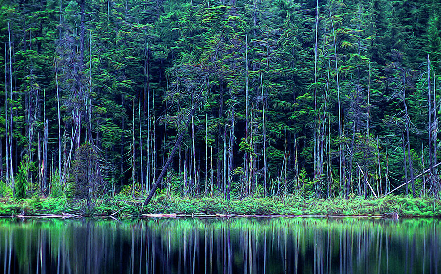 Forest by the Lake by Richard Farrington Forest by the Lake by Richard Farrington