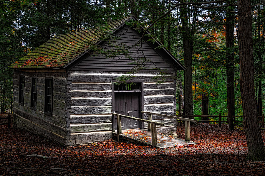 Tree Photograph - Forest Cabin by Richard Reames