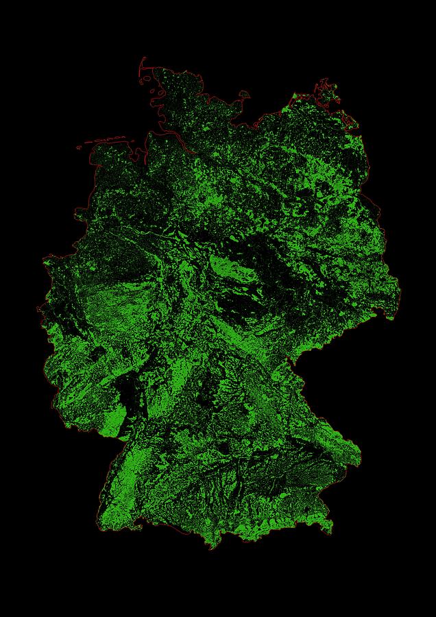 Forest cover map of Germany Digital Art by Grasshopper Geography