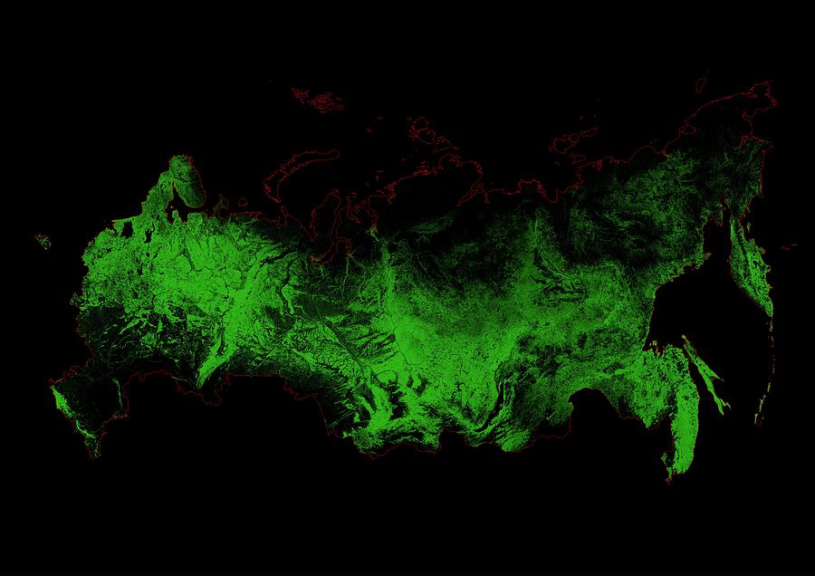 Forest cover map of Russia Digital Art by Grasshopper Geography - Fine ...