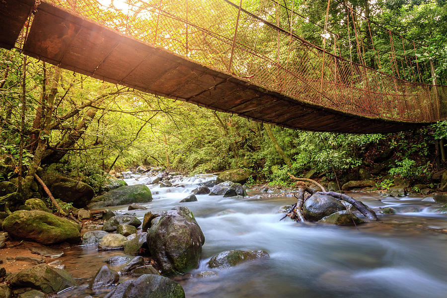 Forest creek in Rincon de la Vieja National Park in Costa Rica Photograph by Alexey Stiop