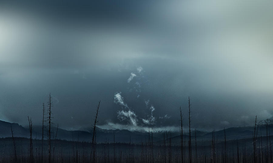 Landscape Photograph - Forest Fire blues by Yvette Depaepe