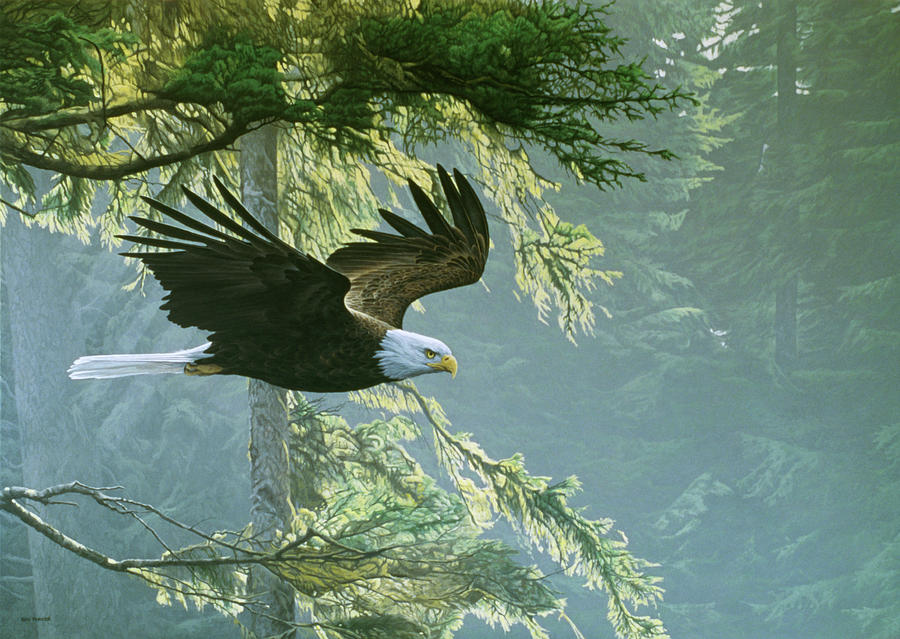 Forest Flight / Eagle Painting by Ron Parker
