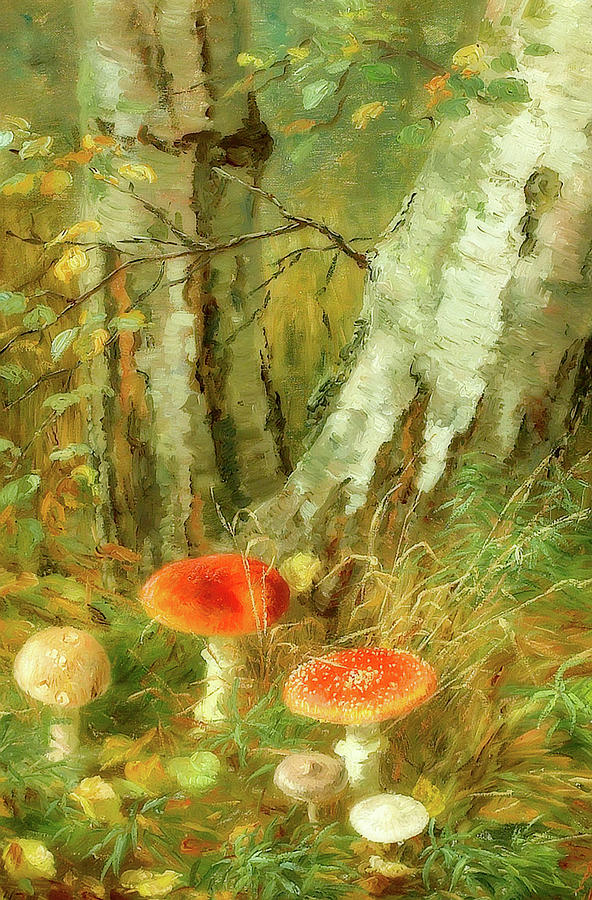 Forest Floor With Mushrooms by Mountain Dreams