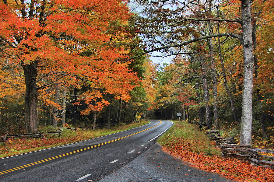 Forest Heritage Scenic Byway Photograph By Ben Prepelka Fine Art America