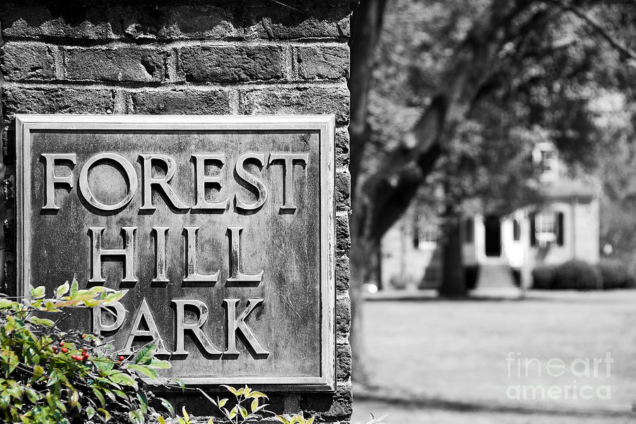 Forest Hill Digital Art by Kelvin Booker
