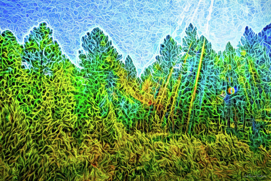 Forest In Light Digital Art by Joel Bruce Wallach