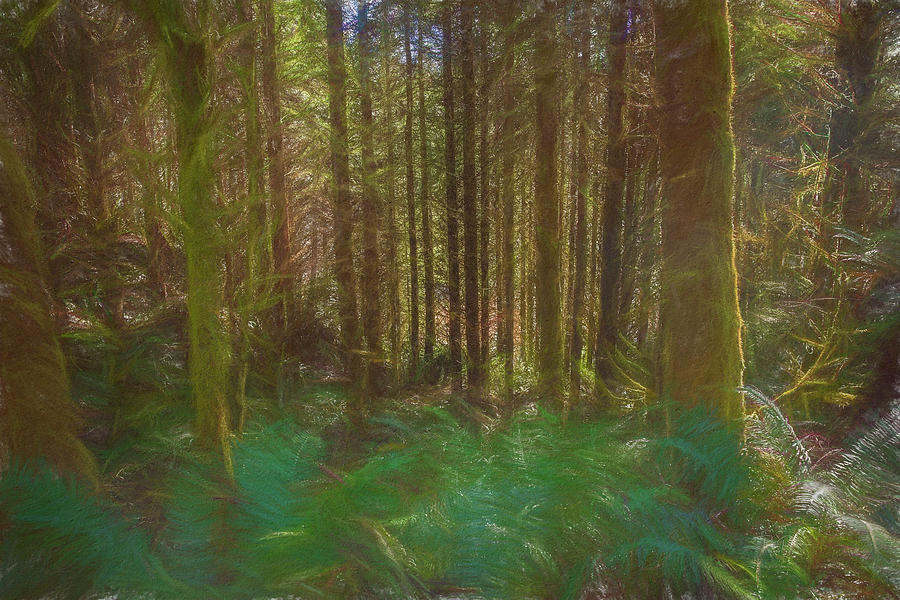 Forest in Paint Photograph by Bill Posner